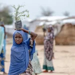 Yimɓe ɗuɗɓe yaltinii galleeji maɓɓe e Cameroon North Far North caggal nde ƴeewtere armed group wari yimɓe 15